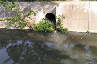 北京順義奶白河疑系生活排污