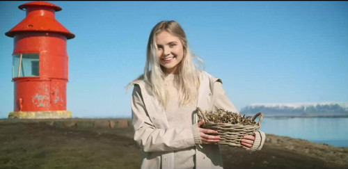 非研磨型健康美白牙膏——倍林斯(BLANX) 植物美白系列