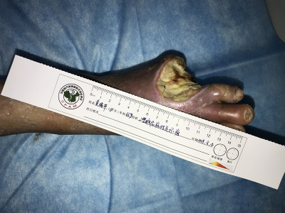 5(j)Fݰ`ǌͨj(lu)(chung)조E