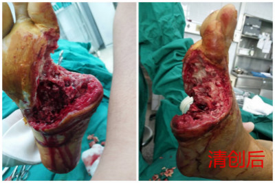 5(j)Fݰ`ǌͨj(lu)(chung)조E