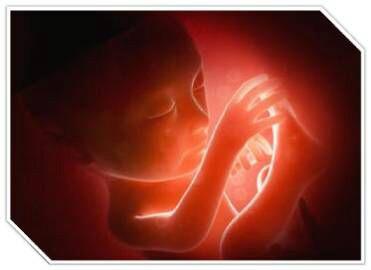 專訪林兆強(qiáng)醫(yī)生——增強(qiáng)母嬰免疫力由懷孕開始