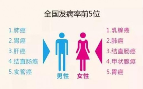 ȫ󰩰Yy(tng)Ӌ(j)(bo)tYĎx