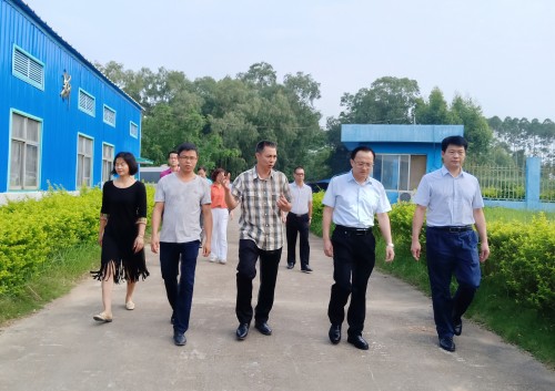 來賓市雷應(yīng)敏市長蒞臨雙蟻藥業(yè)視察調(diào)研