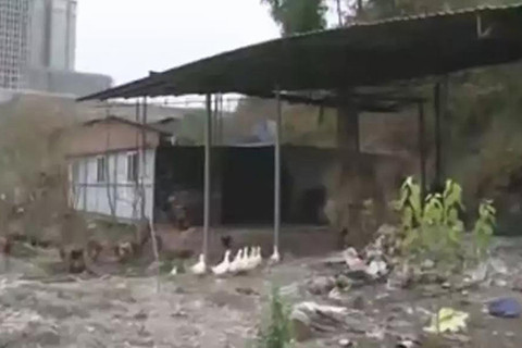 ƤЬꡱ(i)ļxʽڳɶXt(y)Ժe