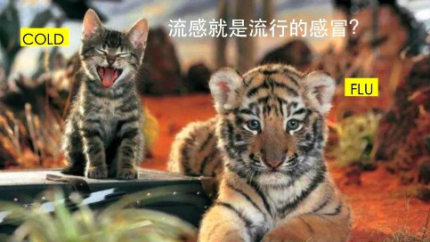 由奧斯卡最佳影片說起