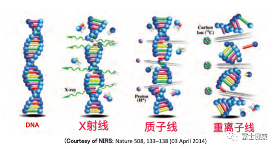 重離子之父談重離子線治療的特征和優(yōu)點