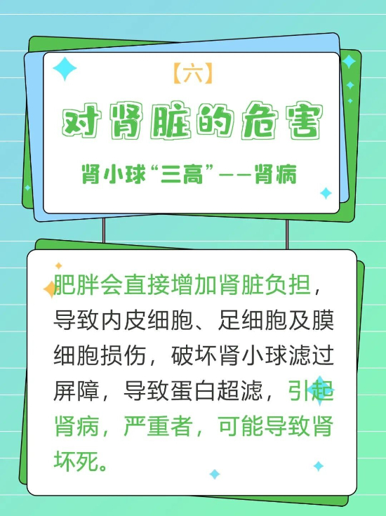 ݰ֬20գ˽֎L(fng)U